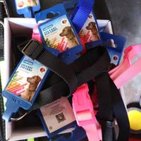 Collari, guinzagli e ciotole cani