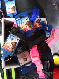 Collari, guinzagli e ciotole cani