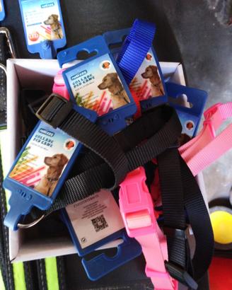 Collari, guinzagli e ciotole cani