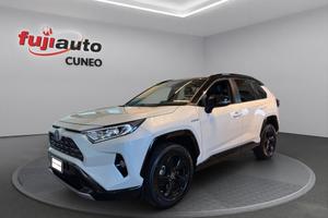 Toyota Rav4 2.5 vvt-ie h Style 2wd 218cv e-cvt