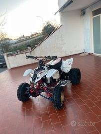 Polaris Predator 500E