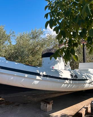 Joker boat 5.80 con honda 40 del 2020
