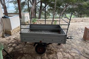 rimorchio auto portata 300 kg