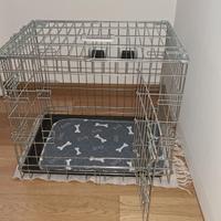 kennel