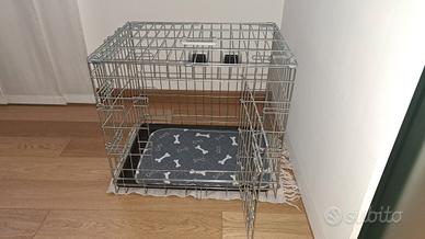 kennel