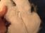 Immagine 3