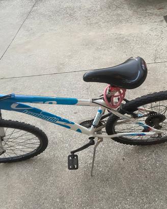Bici lombardo