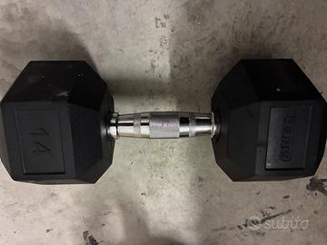 Dumbell 14 Kg
