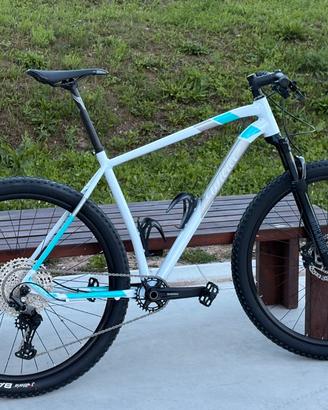 Wilier Triestina 503X Pro