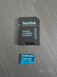 micro sd Samsung 256Gb evo select 