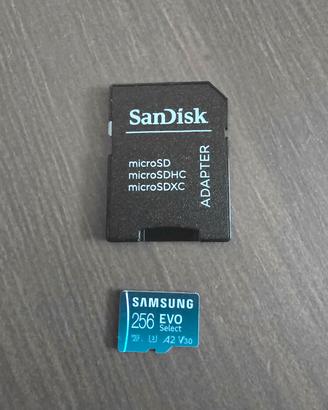 micro sd Samsung 256Gb evo select 
