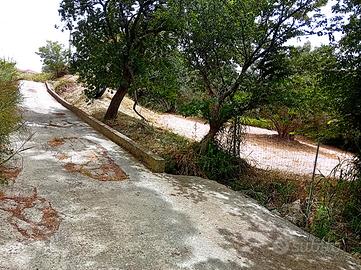 Terreno a Settingiano