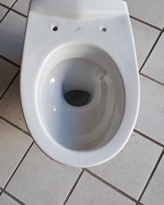 vaso ala vaso esedra bidet tesi
