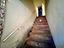 Immagine 11