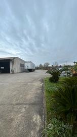 Capannone industriale