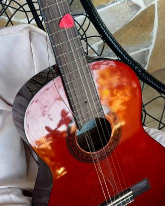 Chitarra Eko con fodera