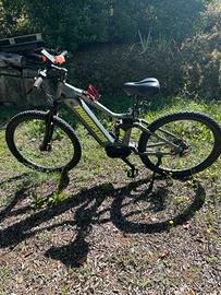 E bike
