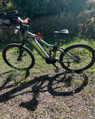 E bike