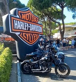 SPECIAL HARLEY DAVIDSON  TWIN CAM