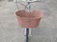 Immagine 5