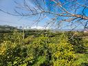 terreno-con-progetto-approvato-x-villetta