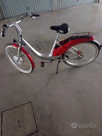 bici elettrica 