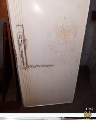 congelatore e frigo anni 60 funzionanti