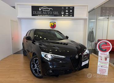 Alfa Romeo Stelvio 2.2 210 CV AT8 Q4 Veloce
