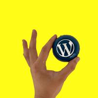 Sviluppatore Wordpress | Wordpress Developer