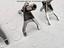 Immagine 11