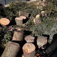 LEGNA per camino o stufe