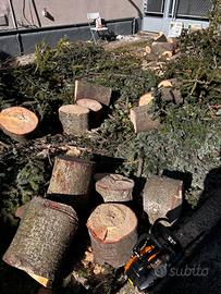 LEGNA per camino o stufe