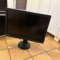 MONITOR EIZO CG247 con Flight Case su misura