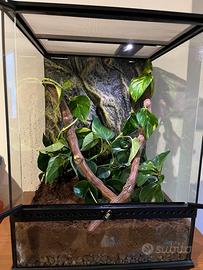 Teca ExoTerra