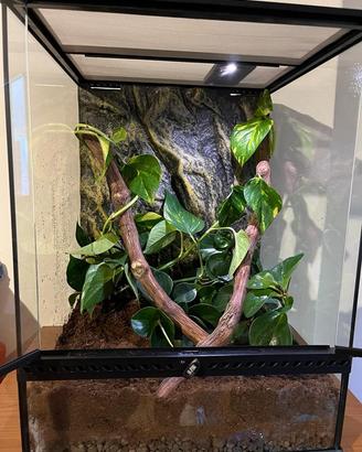 Teca ExoTerra