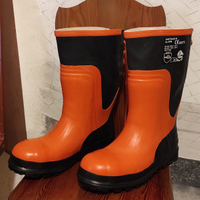 Stivali antitaglio Santiago III