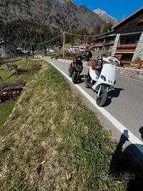 Piaggio zip fast rider