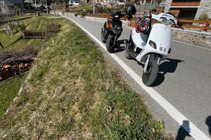 Piaggio zip fast rider