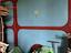 Immagine 2