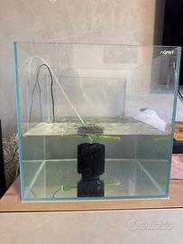 Acquario aqpet