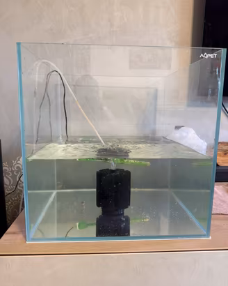 Acquario aqpet
