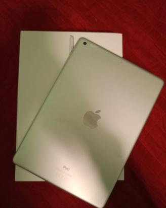 ipad 9° generazione + Apple pencil e portapenna