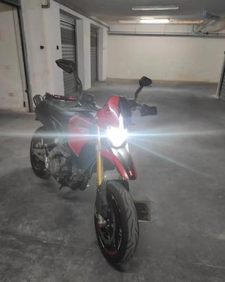 Dorsoduro 750