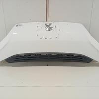 COFANO ANTERIORE PEUGEOT Boxer 4Â° Serie 168662098