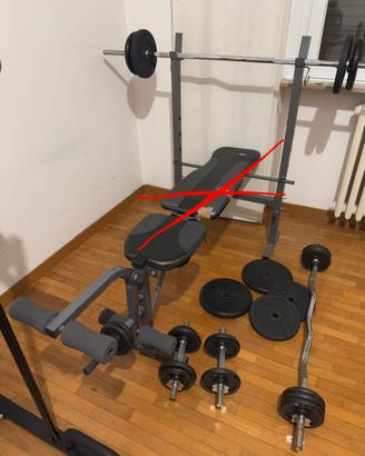 Set completo dischi in ghisa + bilancieri