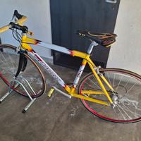 bicicletta corsa team botteon