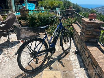 bicicletta da donna assistita