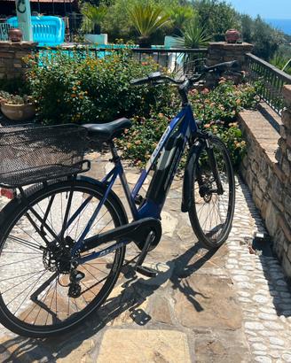 bicicletta da donna assistita