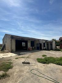 Ex officina meccanica