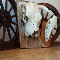 Arredamento country.